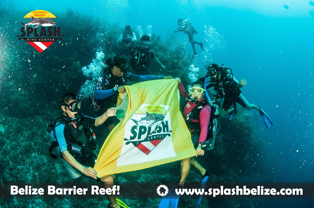 Splash Dive Center Combating the Belize Lionfish