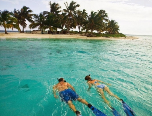 The Perfect Caribbean escape | Belize Snorkeling At Laughing Bird Caye National Park