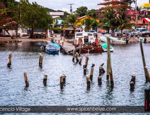 The Charming Village of Placencia Belize| Events and Festivals