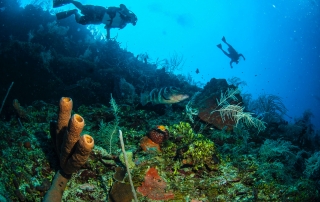 Belize | The Best Diving Destination In Central America